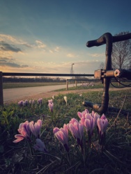 4ae5678c-4d5e-4c4b-986b-d6cbe9a6c740