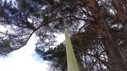 90f151eb-b75b-47ae-91fc-8a43e4cc60af