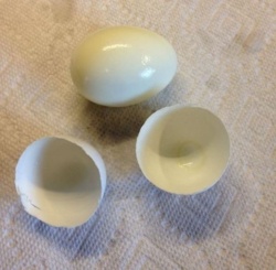 8cee9fff-c901-46aa-8c14-341bf974e13b