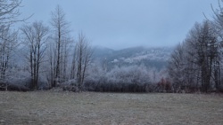 64e5d5b2-1588-437f-ad5d-1b894d42641f