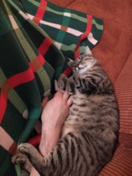 7f9361ee-b091-4590-aad8-d095f1e1a233