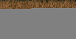 Wajrak: Nie dotarłem do źródeł Łutowni, za to nasłuchałem się wycia wilków. Tylko ich posłuchajcie!