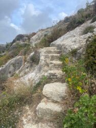 e97a472e-60d6-425d-abd2-bb9da52a479c