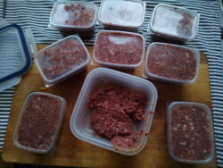 90dde0fe-8af9-4ddf-baf1-289adea7458f