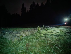 a689302b-ccc8-4246-a151-b25d7dcf0934