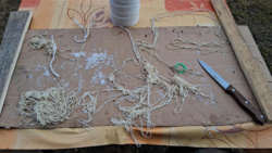 21176844-14ec-427c-8f24-e20574fc1424