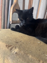 fc67b5ac-fe6f-46a6-91cf-38f4d8f08550