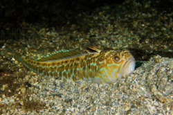 477d09c5-cd0e-484d-ba1c-269189f2a168