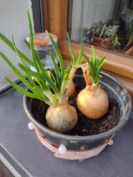 1cdd47ab-60b7-4cb2-8cfa-9bab484e739f