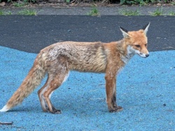 b80731fe-d8aa-429f-b8a9-180f385a3095