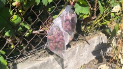 db025975-61d4-4319-a263-3003afbce8c5