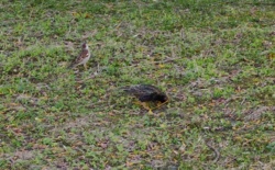 a516c588-375b-4eaf-863f-af5cc7152523