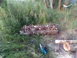 89168e3c-3c4b-4d90-a357-f50f02d6c017