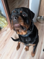 1d78e4e3-6d62-42dd-bd96-d120dfdaa416