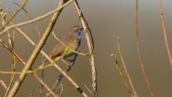 7f460f8e-a5fb-4560-b986-6ea8521c00b8