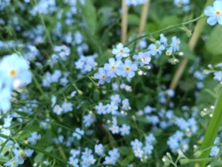 983ab845-e23a-40bb-a8ed-910bae47f21d