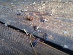 e7d7a552-67d2-4d01-8e97-9cc4fc37e781