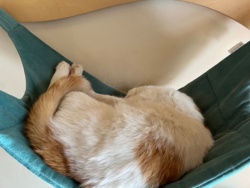 48f77d22-46d1-466e-83f5-725c4da22d03