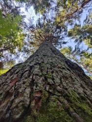 d9b418ef-c40a-4502-ac55-0e03cff7ca79