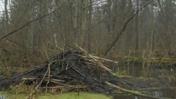 10f53a2a-c564-4516-9a7e-e72fa7f7a94c