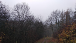 e346064b-0091-4fbd-a36d-b02c14feda0f