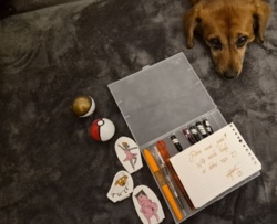 36a7d7be-503f-41c5-93e4-125e305fe755