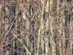 cb2e60f6-3a8f-4741-b4d0-e014335a0f39