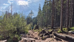 8433512e-162f-4fed-a7e1-58bb1eb2b26f