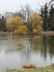 c6fd28a7-aa64-4767-83be-d9cee06484df