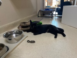 6d4b0833-5378-4648-bb75-534f2b1b361c