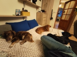 94108be4-da89-482e-a60f-f910ac0d6b4e