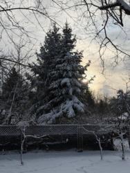 6f049222-b488-410c-a89f-b29259b05518