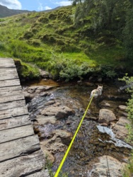 e9c4648f-6eb6-4605-bff7-ea2522a42ba3