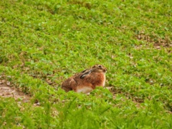 32a03846-bac7-4910-abf2-aca96299a560