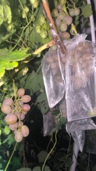 44150a71-6a80-497d-bd34-5674dbb34606