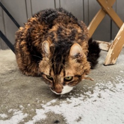 ac43fcd3-6f27-4507-8985-930126ccbde3