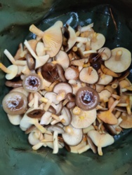 dbb7495d-9bcb-4c67-86cb-fd7110827db7