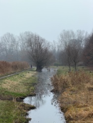 3af90b0b-5d26-42f9-8a00-d031a7d17f64