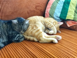 ef20e736-9e8b-4d3d-be22-499661452cf5