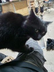 388d8777-7c01-45c2-a5aa-0886bd062f92