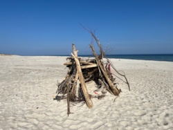 c59ed5de-5d23-428a-b933-b000916bb5d6