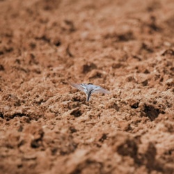 8a4ce7bb-d52e-4d46-a5f7-1d3bb8d4c2ab