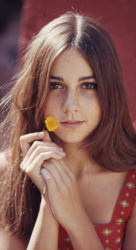 1463da92-c188-42df-8468-8cf9e74c01f3