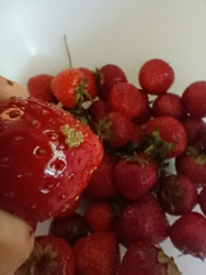 c637f307-7748-45ff-9b9c-e707cd344d07