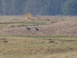 1abaf465-1b25-44b4-a270-c88cc8595d3e