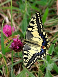 67107123-1edb-4a4e-abfc-719cf2e79b38