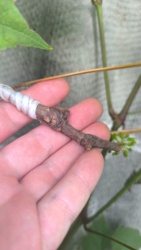 6f0d7beb-195b-4d00-abf3-10a6014da1f8