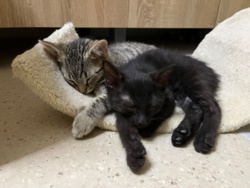 6247876b-436a-4dd8-8b54-fb98ca8c11b2