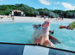 3bd5dae3-7afc-4f82-ad0c-255bf48abf2d