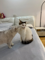 f8d09e9e-c664-41bf-81e0-7f00e8d0e9bb